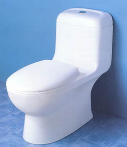 water efficient toilets